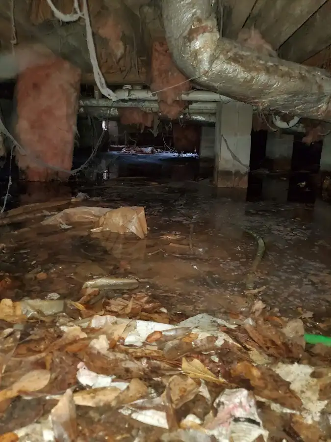 Crawl space flood assessment for Commercial Water Damage Restoration in Heber